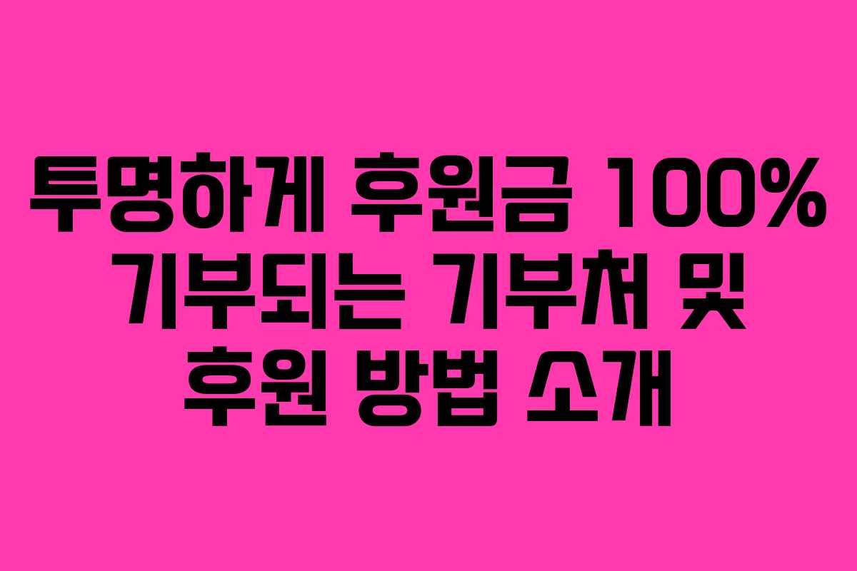 투명하게 후원금 100% 기부되는 기부처 및 후원 방법 소개
