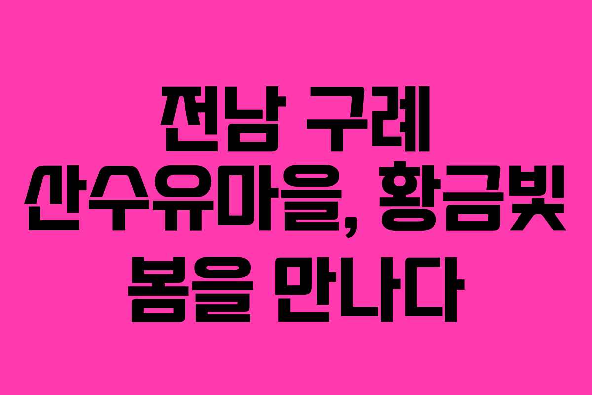 전남 구례 산수유마을, 황금빛 봄을 만나다