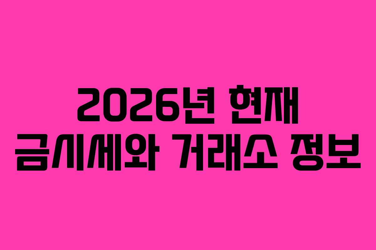 2026년 현재 금시세와 거래소 정보