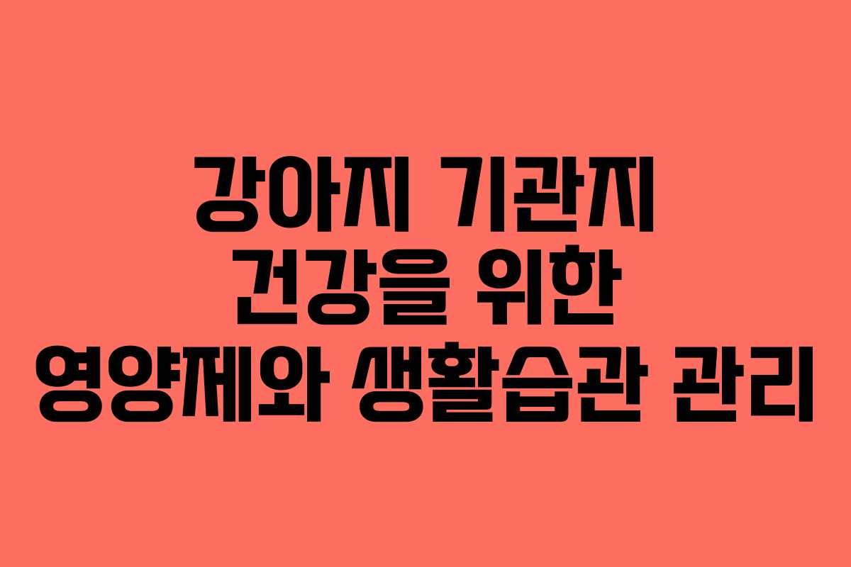 강아지 기관지 건강을 위한 영양제와 생활습관 관리