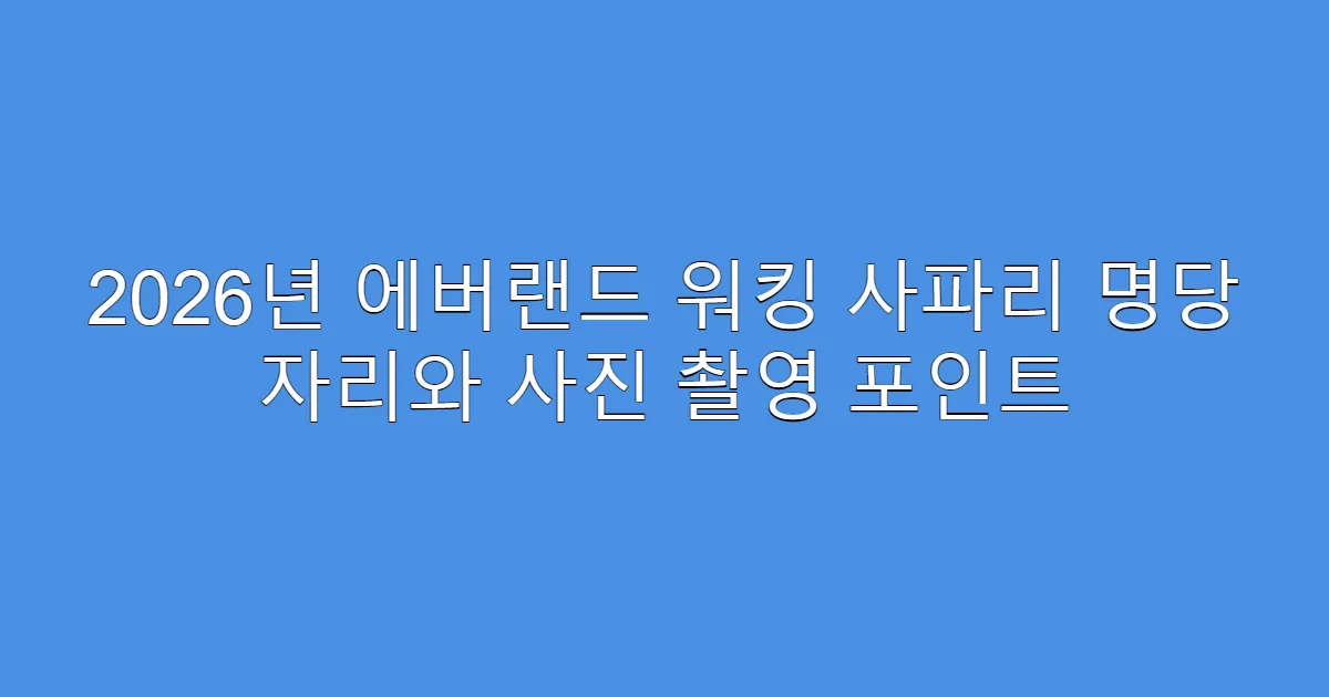 2026년 에버랜드 워킹 사파리 명당 자리와 사진 촬영 포인트