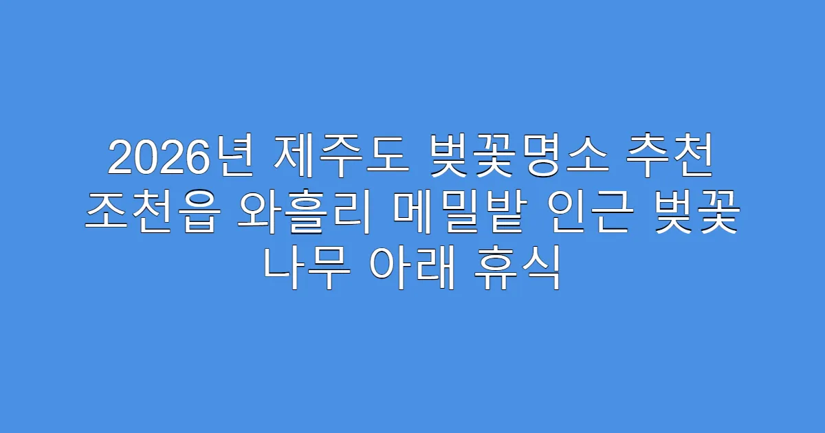 2026년 제주도 벚꽃명소 추천 조천읍 와흘리 메밀밭 인근 벚꽃 나무 아래 휴식
