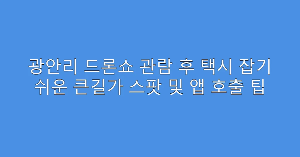 광안리 드론쇼 관람 후 택시 잡기 쉬운 큰길가 스팟 및 앱 호출 팁