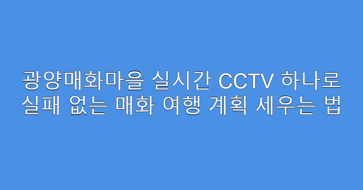 광양매화마을 실시간 CCTV 하나로 실패 없는 매화 여행 계획 세우는 법