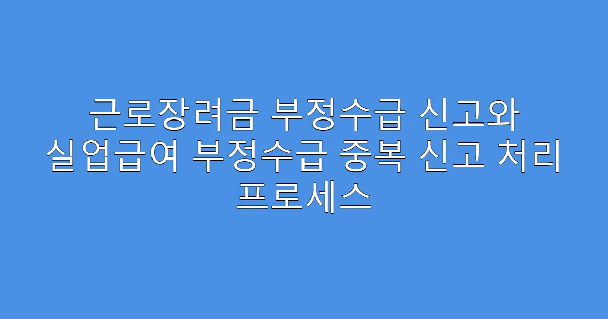 근로장려금 부정수급 신고와 실업급여 부정수급 중복 신고 처리 프로세스
