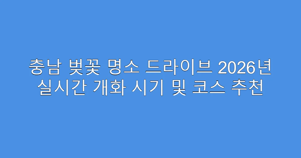 충남 벚꽃 명소 드라이브 2026년 실시간 개화 시기 및 코스 추천