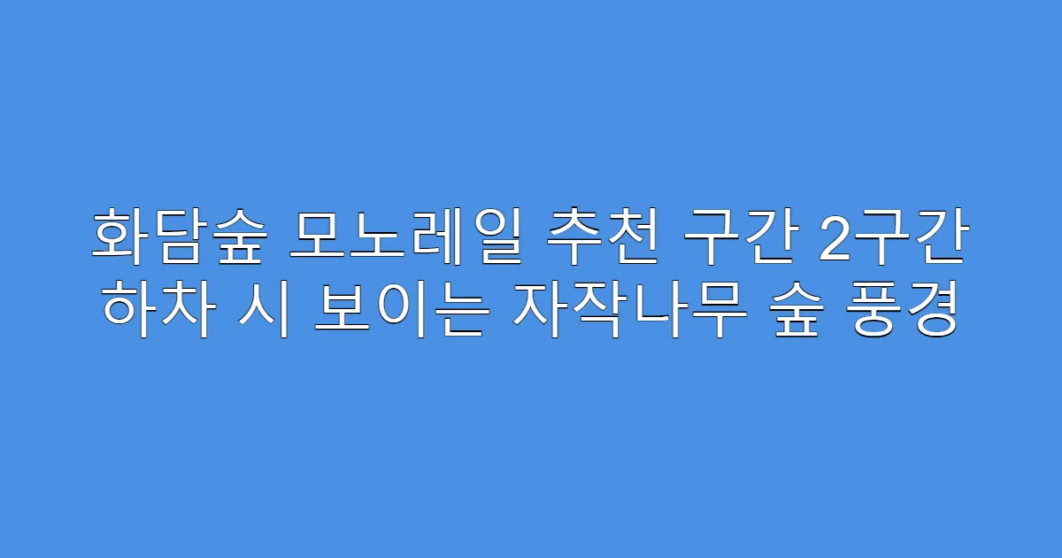 화담숲 모노레일 추천 구간 2구간 하차 시 보이는 자작나무 숲 풍경