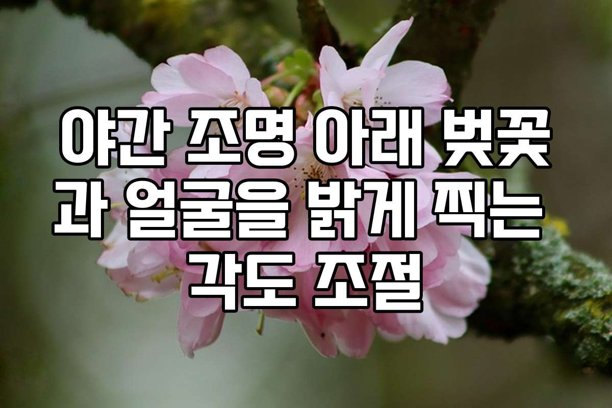 야간 조명 아래 벚꽃과 얼굴을 밝게 찍는 각도 조절