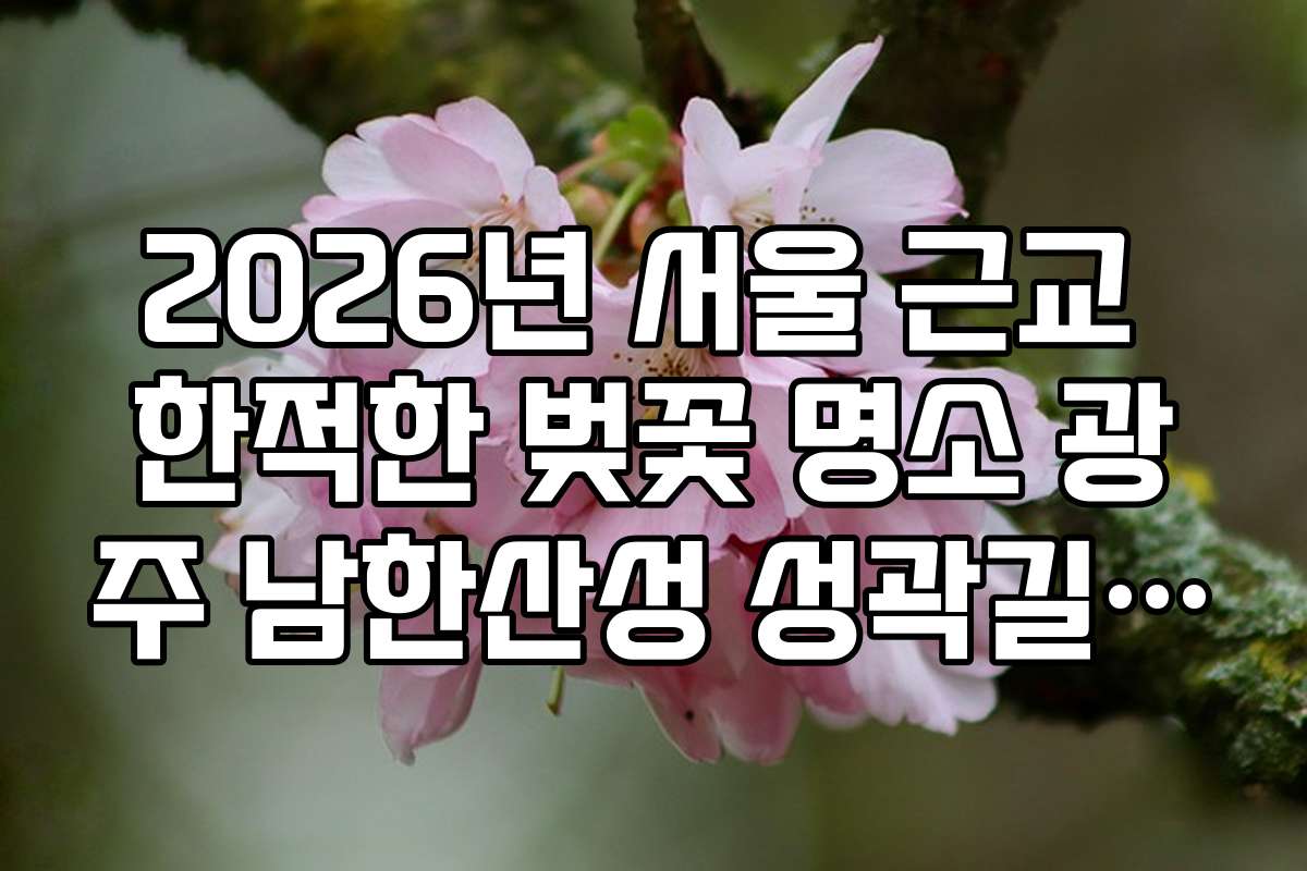2026년 서울 근교 한적한 벚꽃 명소 광주 남한산성 성곽길 벚꽃