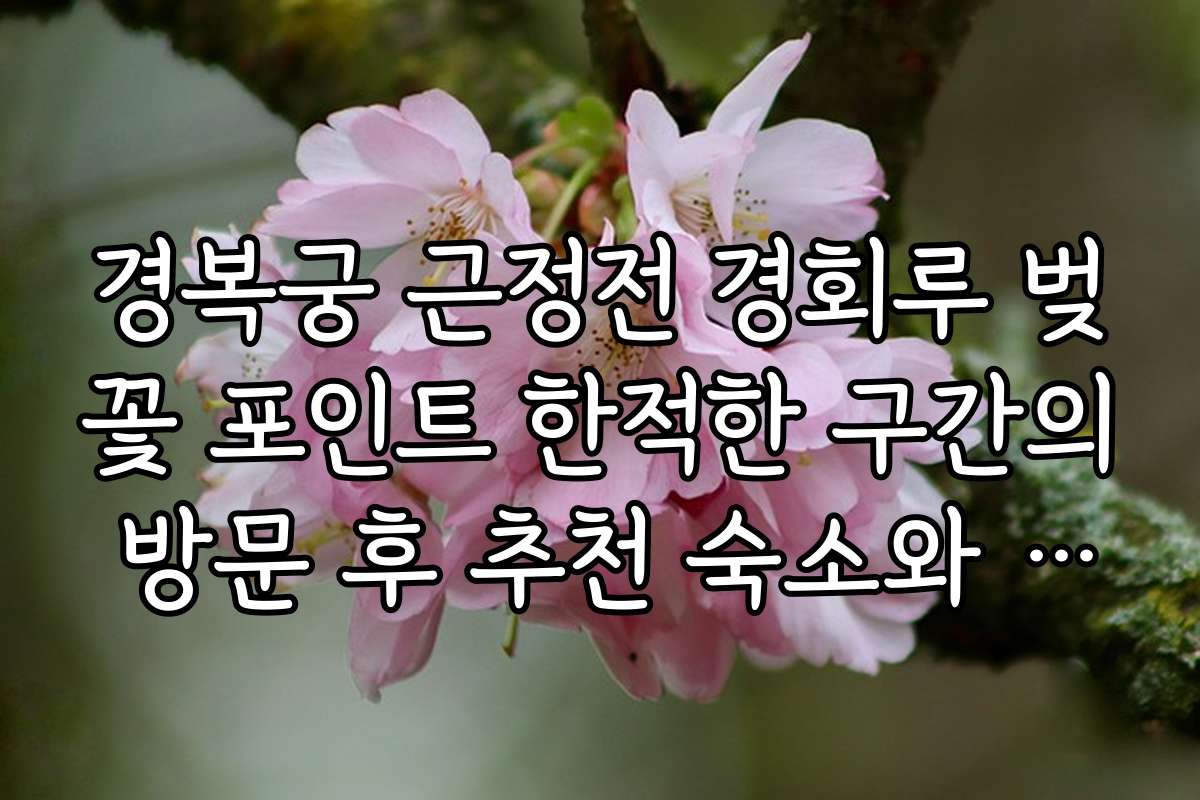 경복궁 근정전 경회루 벚꽃 포인트 한적한 구간의 방문 후 추천 숙소와 주변 맛집 소개