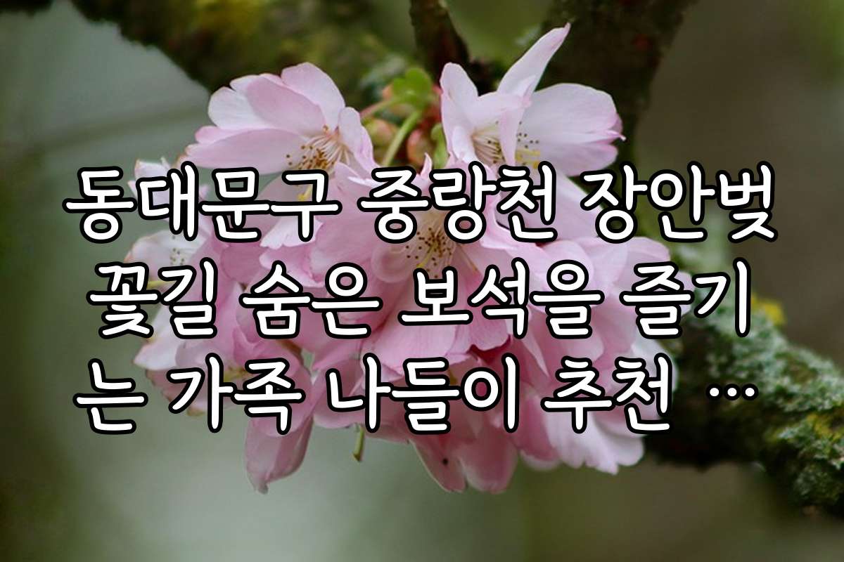동대문구 중랑천 장안벚꽃길 숨은 보석을 즐기는 가족 나들이 추천 일정