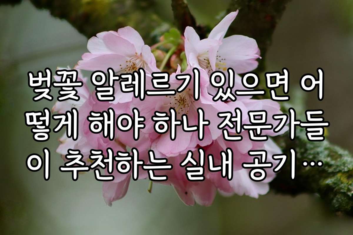 벚꽃 알레르기 있으면 어떻게 해야 하나 전문가들이 추천하는 실내 공기 정화법