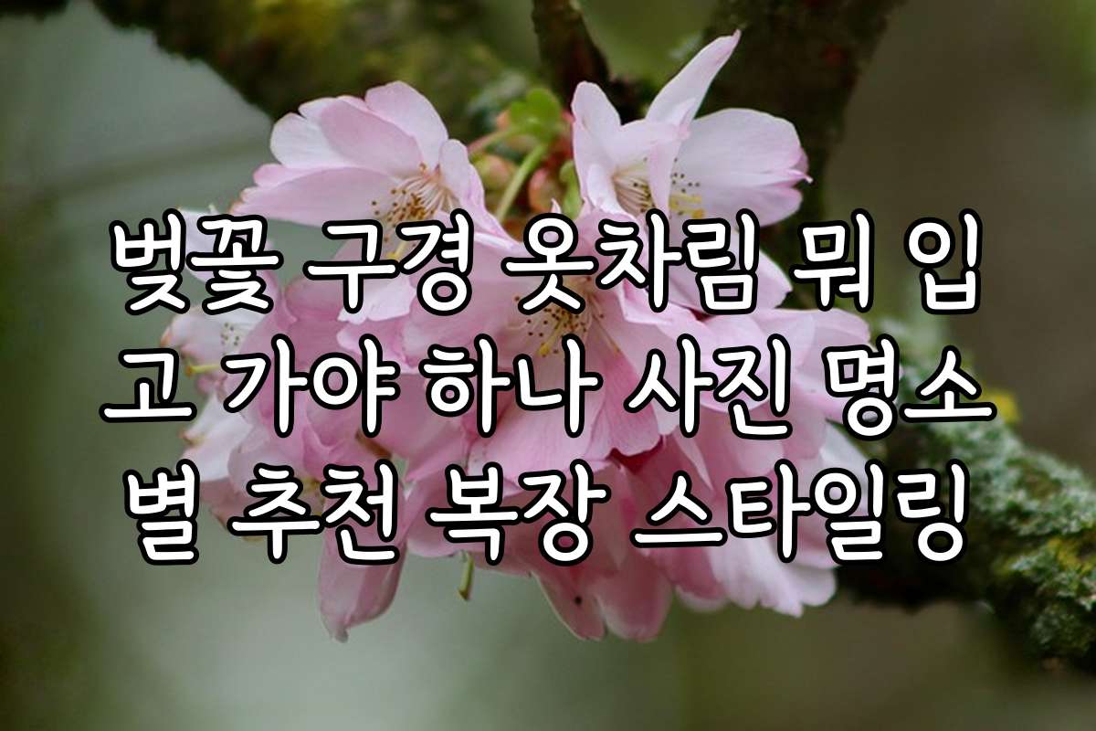 벚꽃 구경 옷차림 뭐 입고 가야 하나 사진 명소별 추천 복장 스타일링