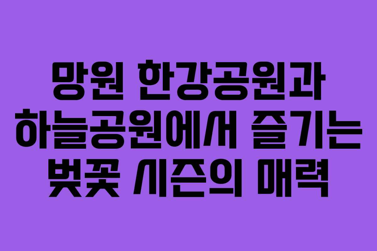 망원 한강공원과 하늘공원에서 즐기는 벚꽃 시즌의 매력