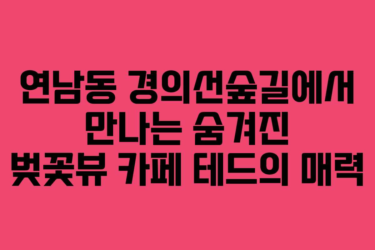 연남동 경의선숲길에서 만나는 숨겨진 벚꽃뷰 카페 테드의 매력