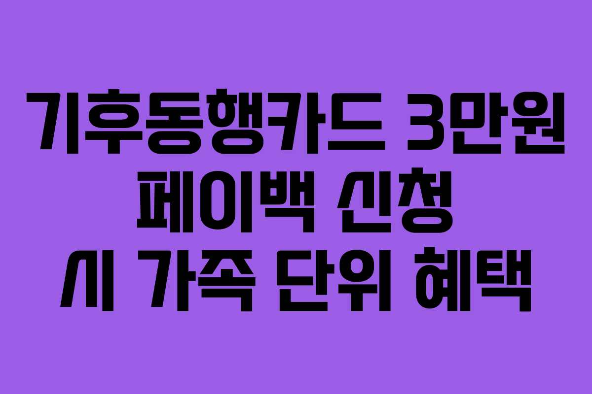 기후동행카드 3만원 페이백 신청 시 가족 단위 혜택