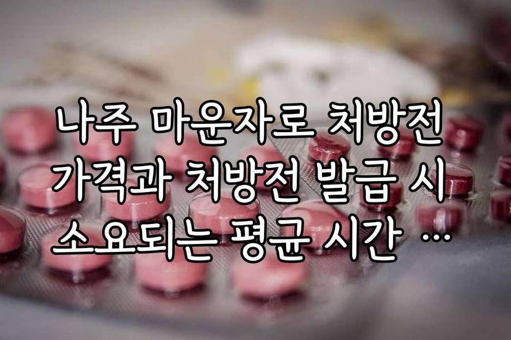 나주 마운자로 처방전 가격과 처방전 발급 시 소요되는 평균 시간 안내