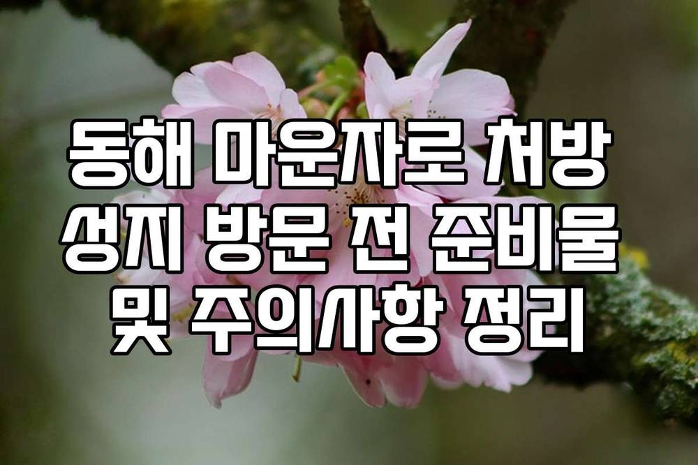동해 마운자로 처방 성지 방문 전 준비물 및 주의사항 정리