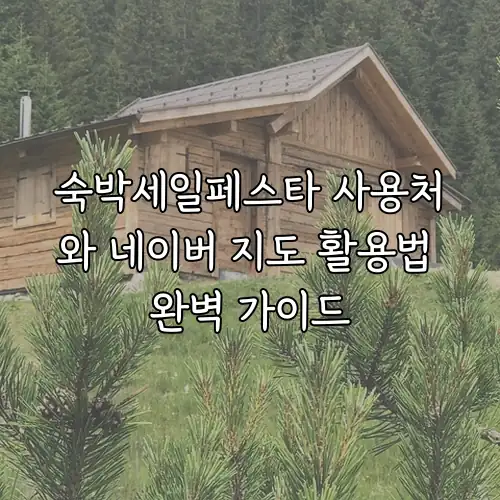 숙박세일페스타 사용처와 네이버 지도 활용법 완벽 가이드