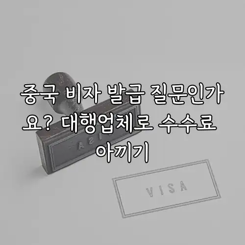 중국 비자 발급 질문인가요? 대행업체로 수수료 아끼기