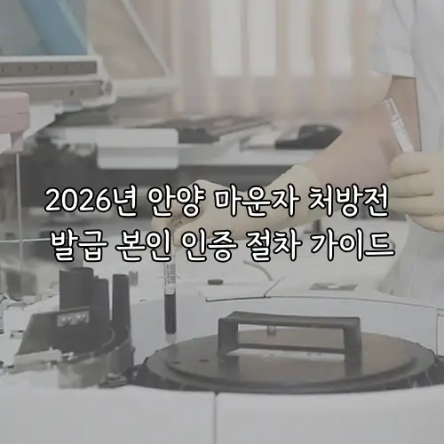 2026년 안양 마운자 처방전 발급 본인 인증 절차 가이드