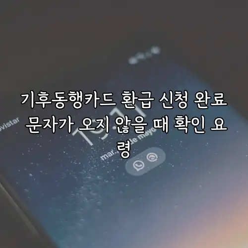 기후동행카드 환급 신청 완료 문자가 오지 않을 때 확인 요령