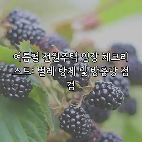 여름철 전원주택 임장 체크리스트: 벌레 방제 및 방충망 점검
