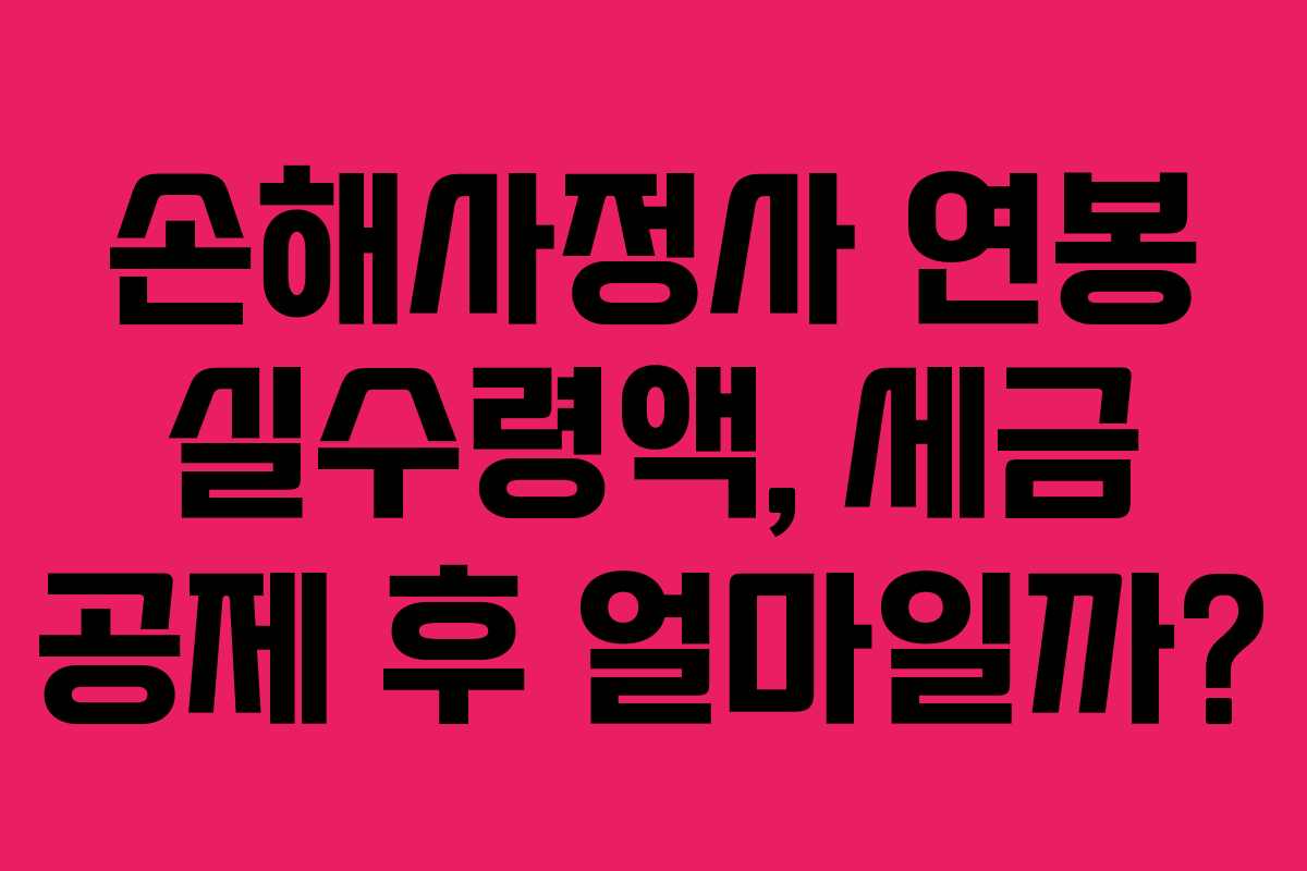 손해사정사-연봉-실수령액,-세금-공제-후-얼마일까