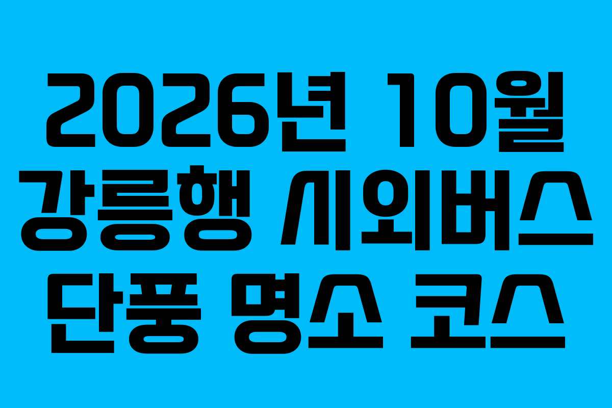 2026년-10월-강릉행-시외버스-단풍-명소-코스